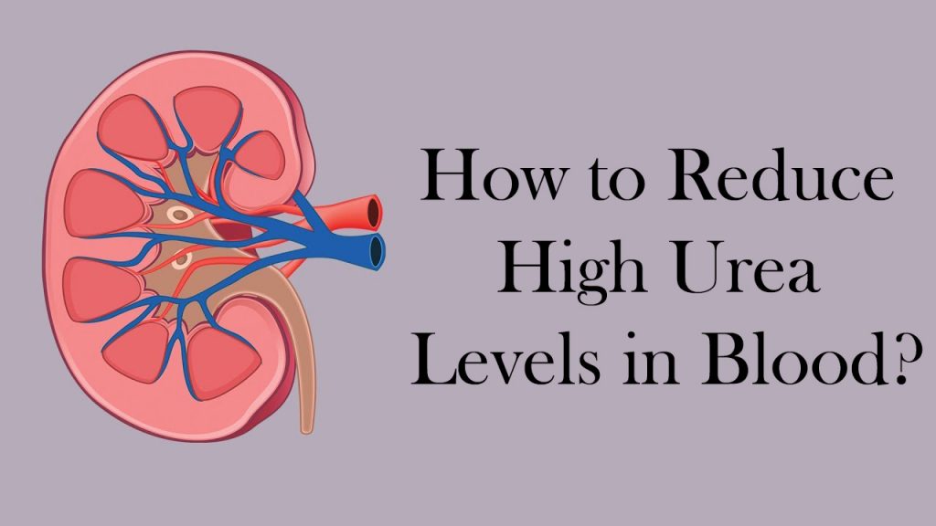 how-to-reduce-high-urea-levels-in-blood-247healthblog